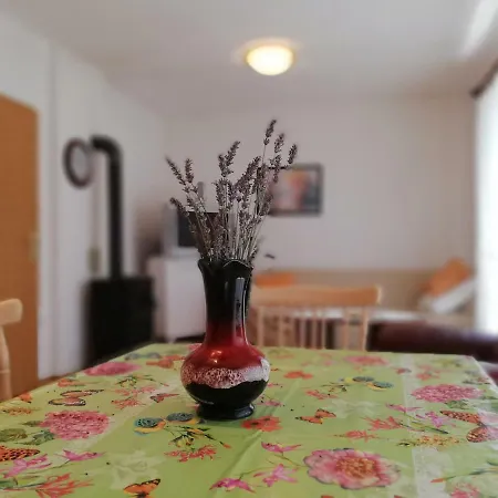 Sv. Vid
