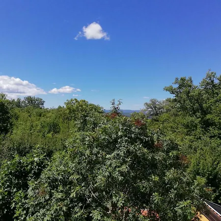 Apartment Sv. Vid *